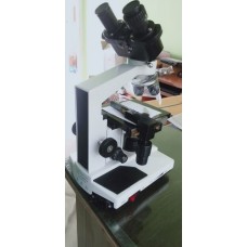 Binocular Microscopes